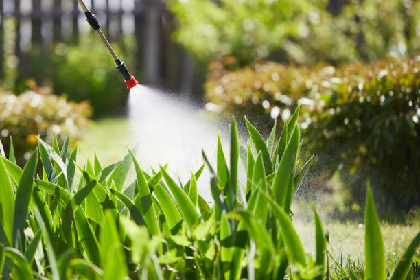 24/7 Emergency Mosquito Control experts in Pullman, WA