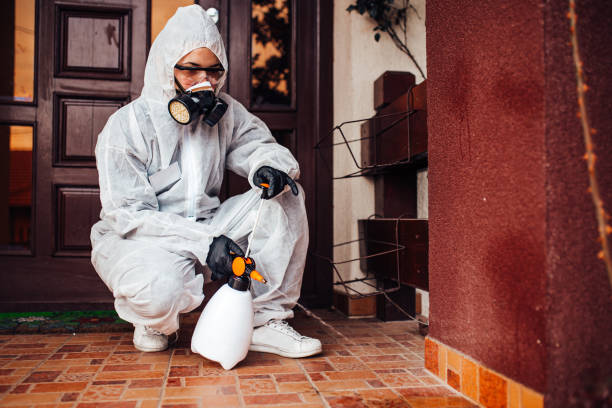 Reliable Mosquito Control contractor in Pullman, WA by Nex Pest Control